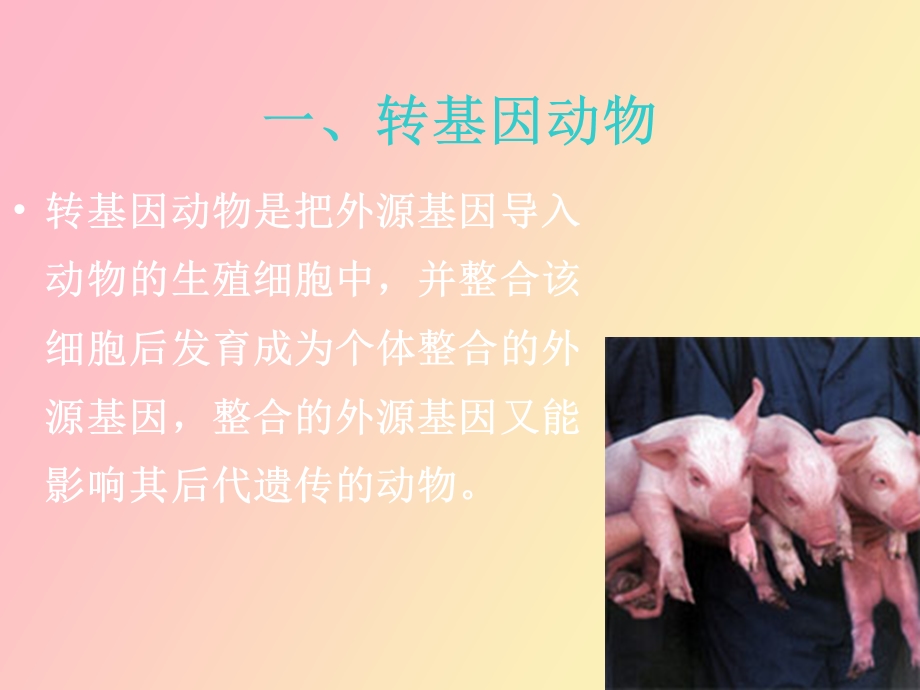 转基因动物制药.ppt_第3页