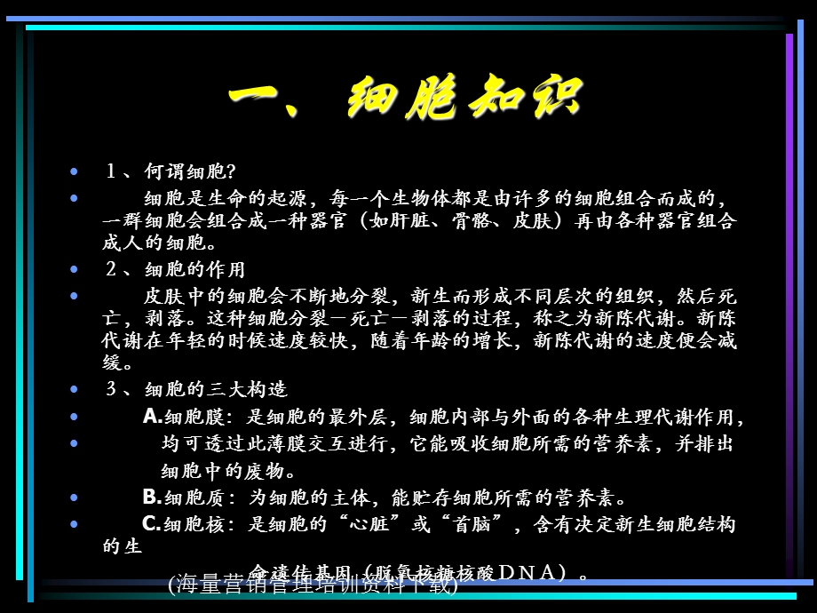 雅姿美容与保养篇.ppt_第3页