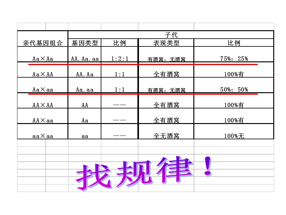 遗传图解中考复习ppt济南版.ppt_第3页