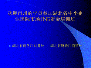 中小企业国际市场开拓资金培训班讲义.ppt