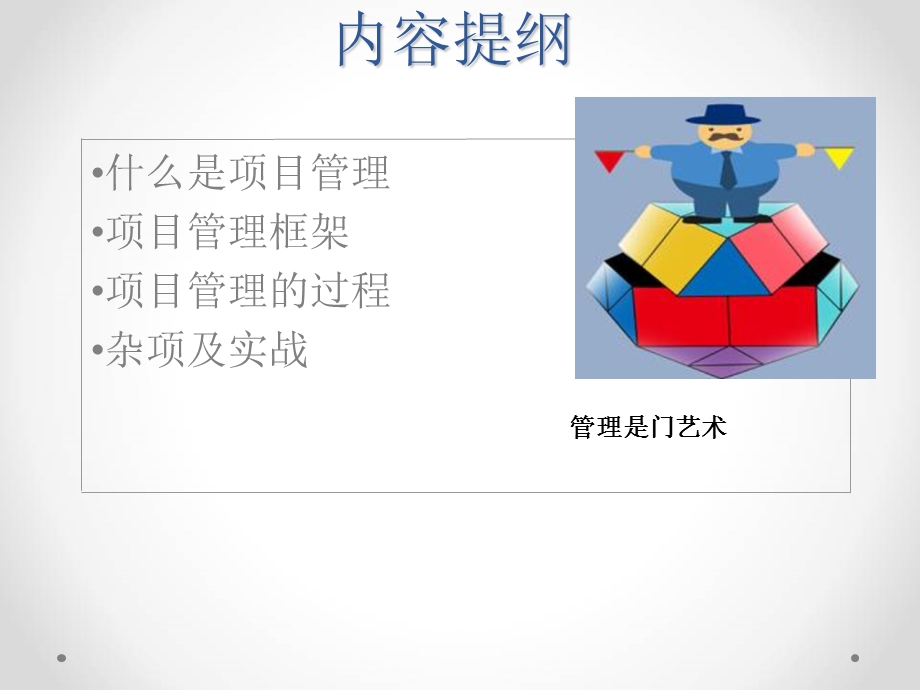 项目管理知识体系简介.ppt_第2页