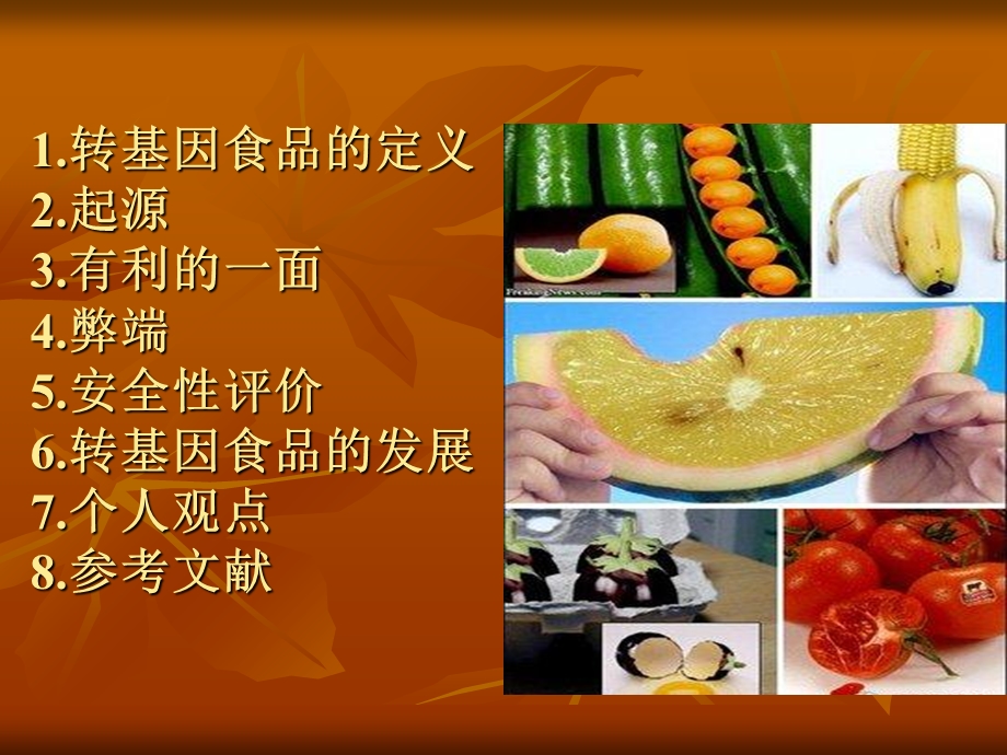 转基因食品的利与弊.ppt_第2页