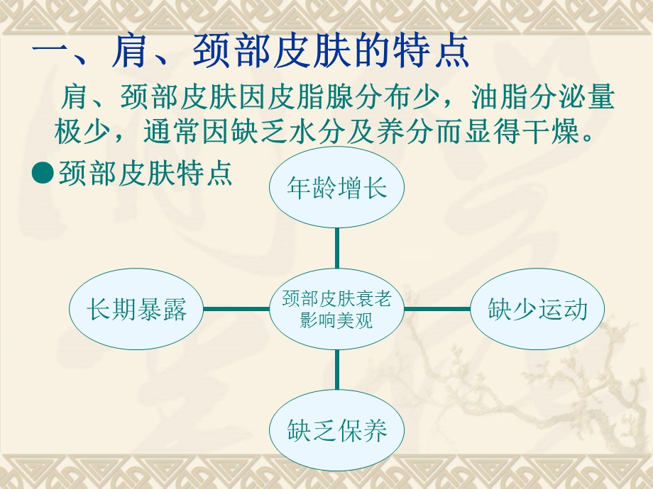 7肩、颈、手部皮肤护理课件.ppt_第3页