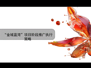 万科金域蓝湾项目阶段推广执行策略.ppt