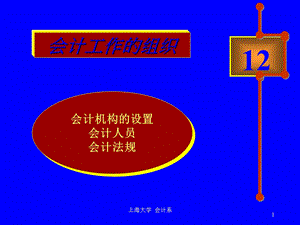 12会计核算组织与规范.ppt