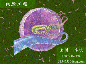 湖工细胞工程1绪论(2学时).ppt