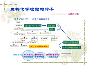 临床生化检验生物化学检验的标本.ppt