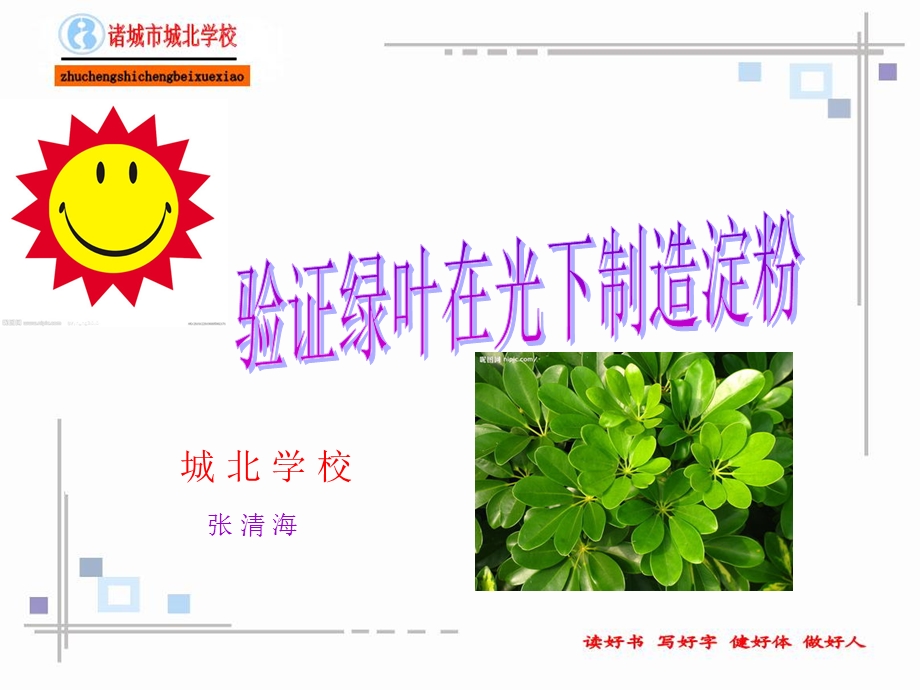 验证绿叶在光下制造淀粉的课件.ppt_第2页