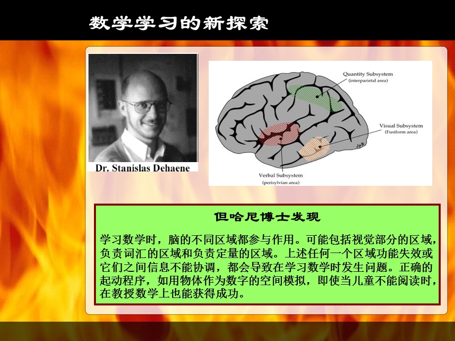 语言学习的关键期.ppt_第2页