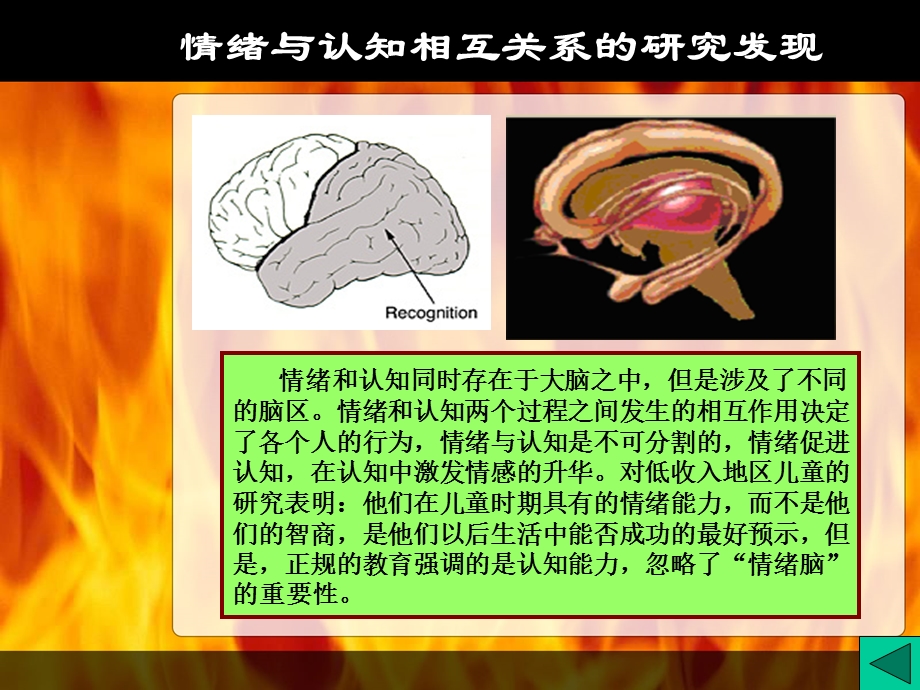 语言学习的关键期.ppt_第3页