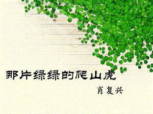 《那片绿绿的爬山虎》上课课件.ppt