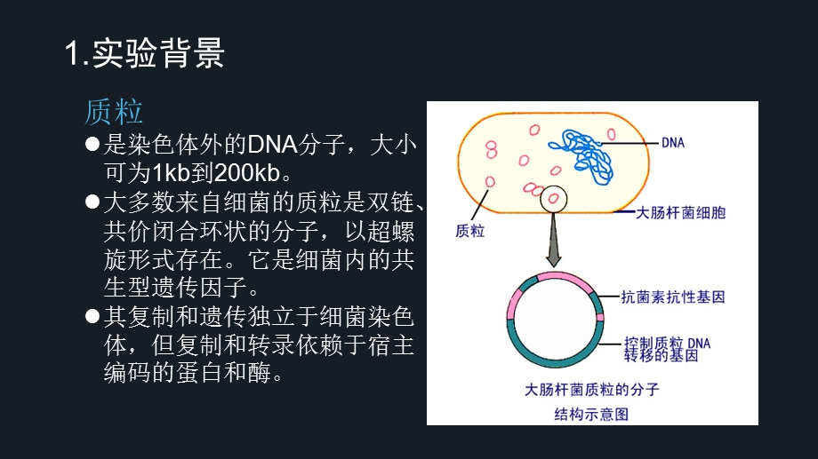 质粒DNA的小量快速提取.ppt_第3页