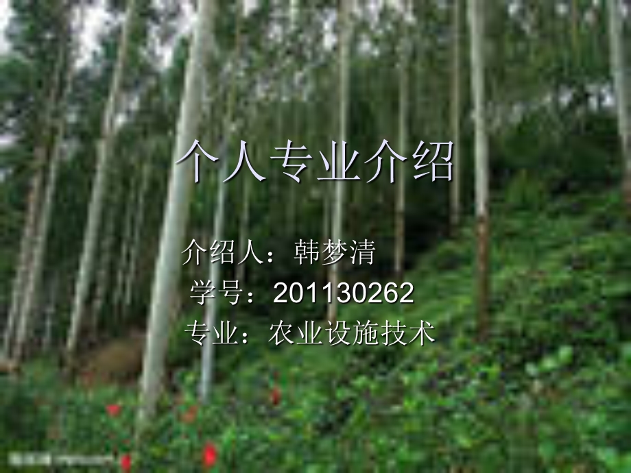 专业介绍演示文稿韩梦清30262.ppt_第1页