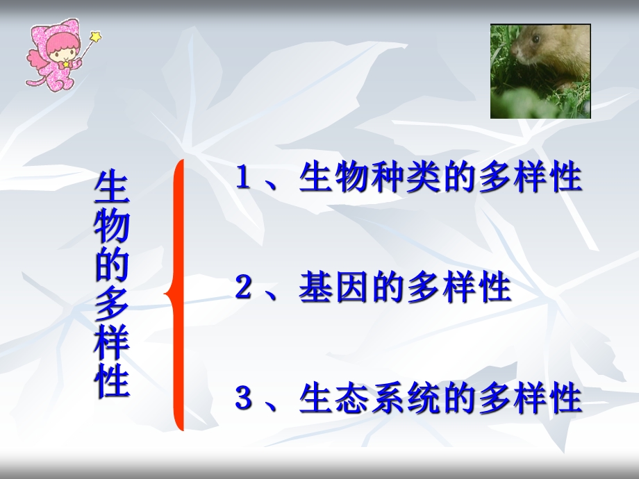 《认识生物的多样性》安年华.ppt_第2页