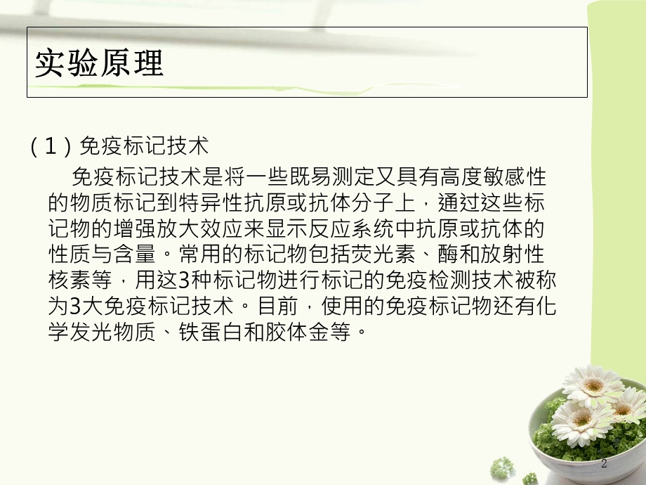 辣根过氧化物酶标记.ppt_第2页