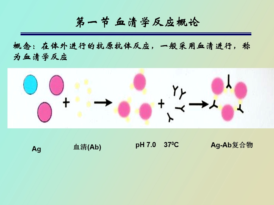 血清学实验技术.ppt_第2页