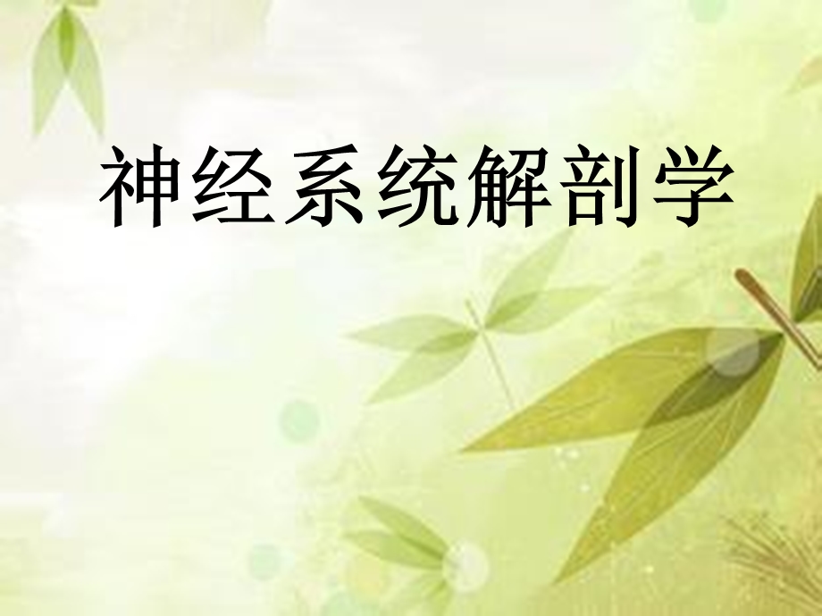 中枢神经系统解剖-端脑.ppt_第1页