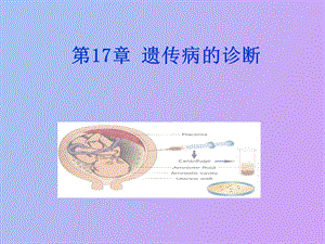 遗传病的诊断与治疗lsy.ppt