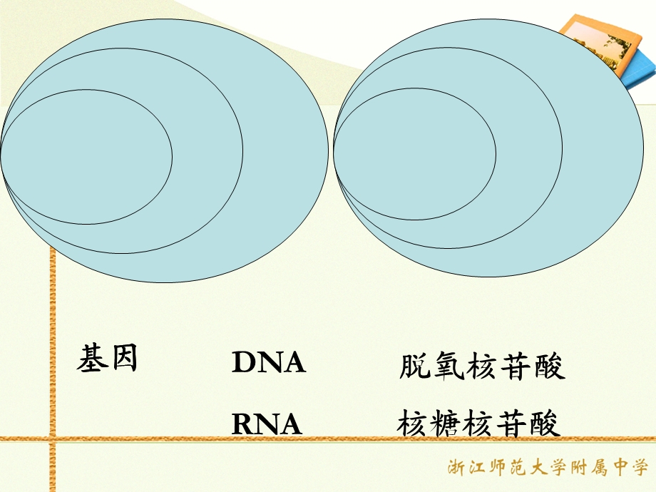 遗传信息的表达RNA和蛋白质的合成.ppt_第3页