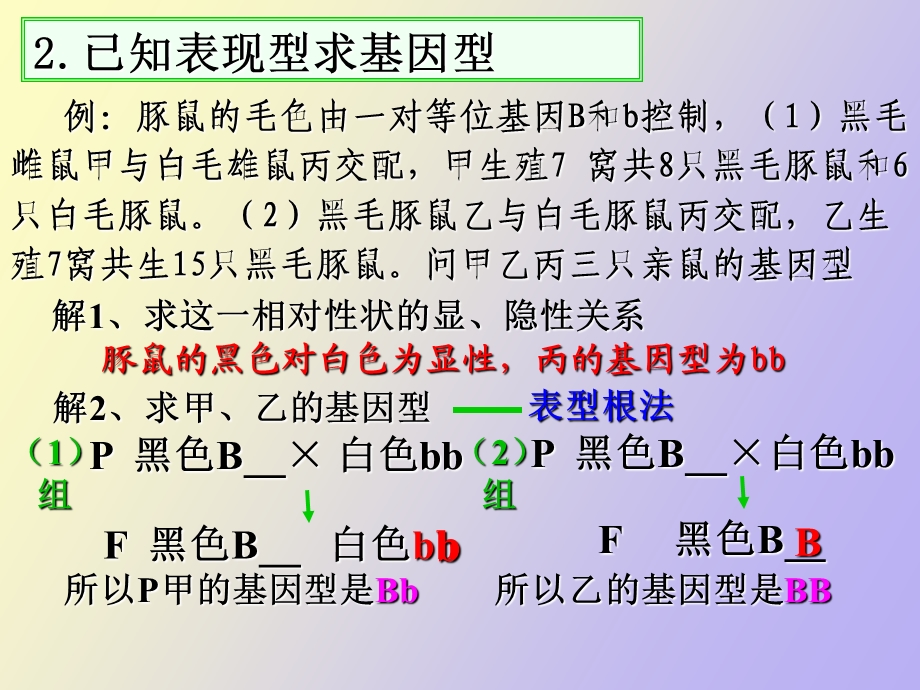 遗传因子的发现经典例题.ppt_第3页