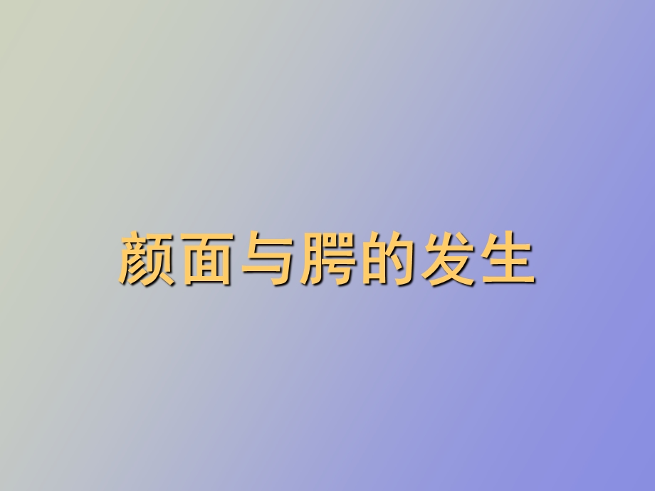 颜面与腭的发生.ppt_第1页