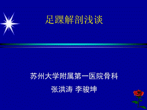 足踝部解剖讲座PPT.ppt