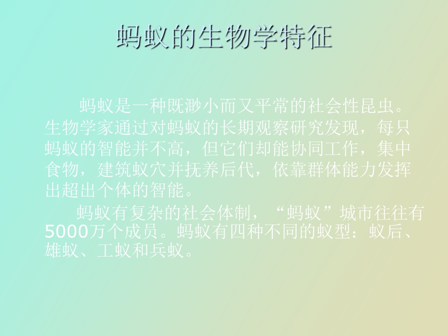 蚁群算法发展.ppt_第2页