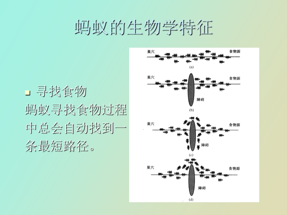 蚁群算法发展.ppt_第3页