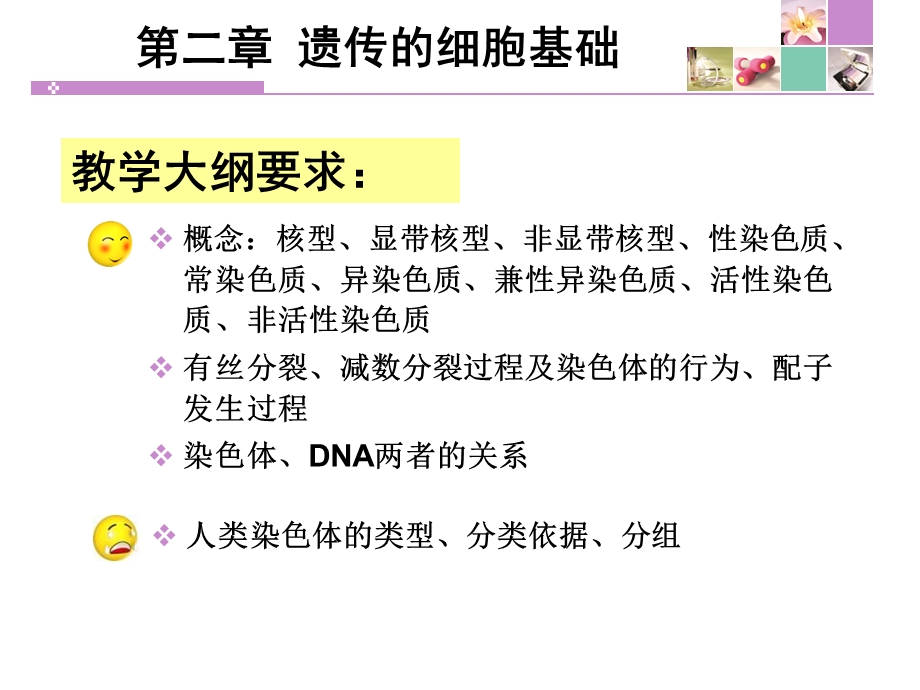 遗传的细胞基础.ppt_第2页