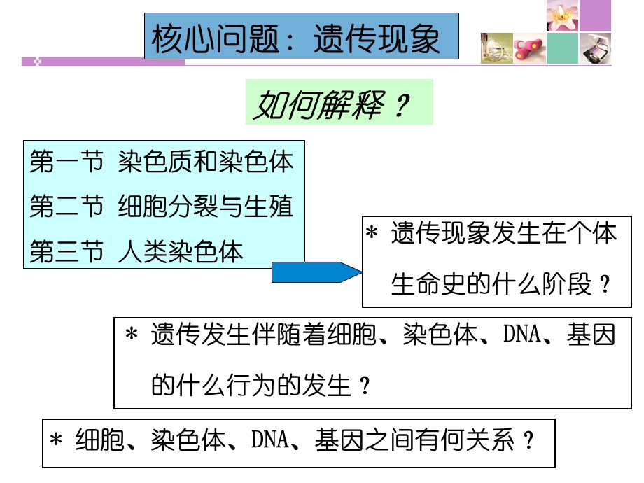 遗传的细胞基础.ppt_第3页