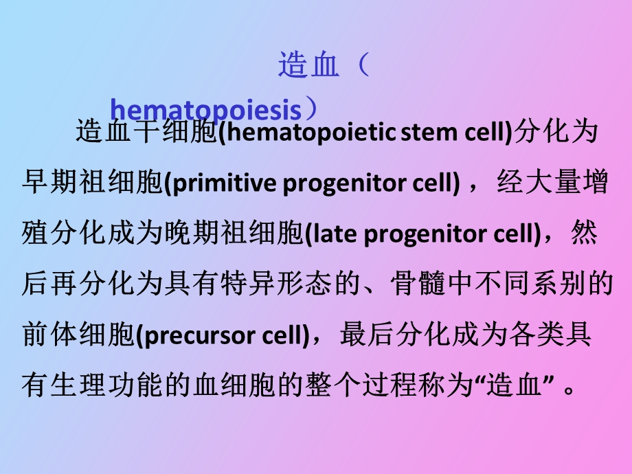 造血干细胞的发育调控.ppt_第2页