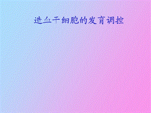 造血干细胞的发育调控.ppt