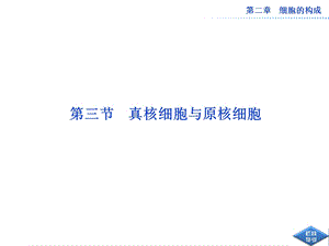 中图版真核细胞与原核细胞用.ppt