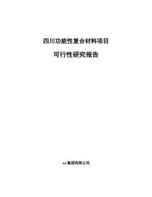 四川功能性复合材料项目可行性研究报告.docx