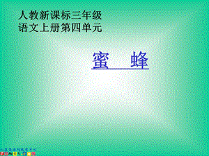 (人教新课标)三年级语文课件蜜蜂.ppt