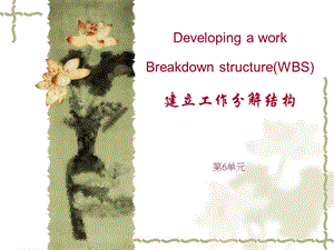 项目管理-工作结构WBS结构分解.ppt