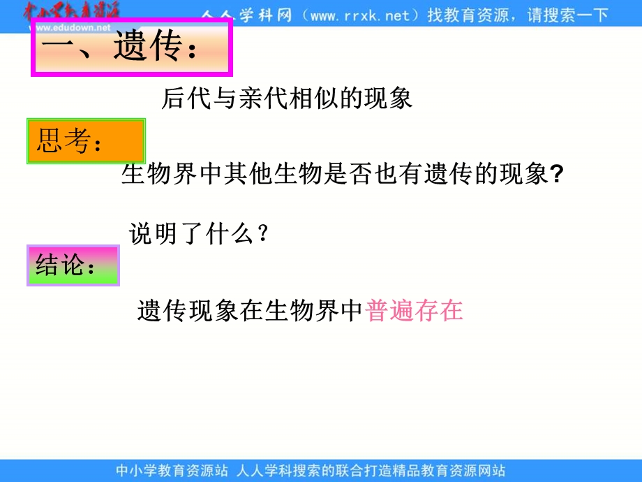 遗传的物质基础课件.ppt_第2页