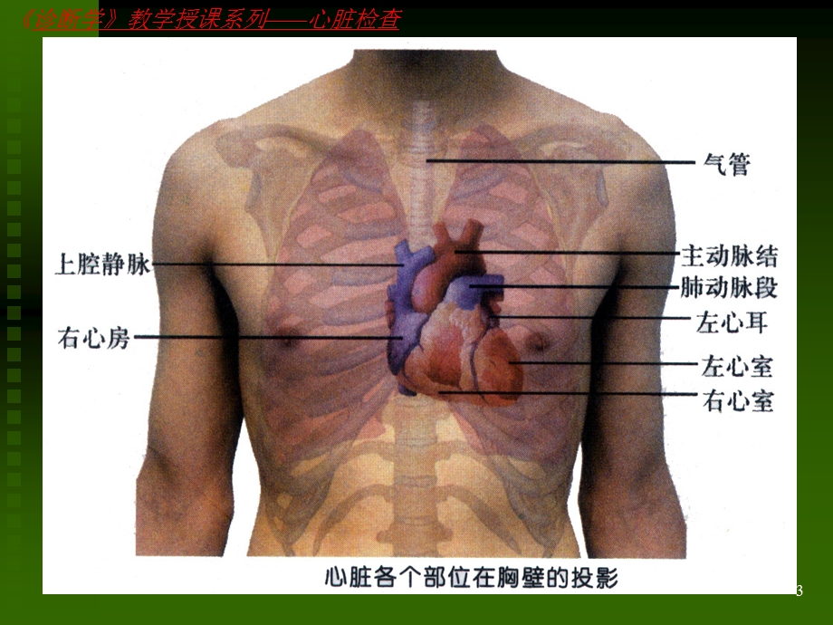 诊断学心脏、血管检查第7版36ppt.ppt_第3页