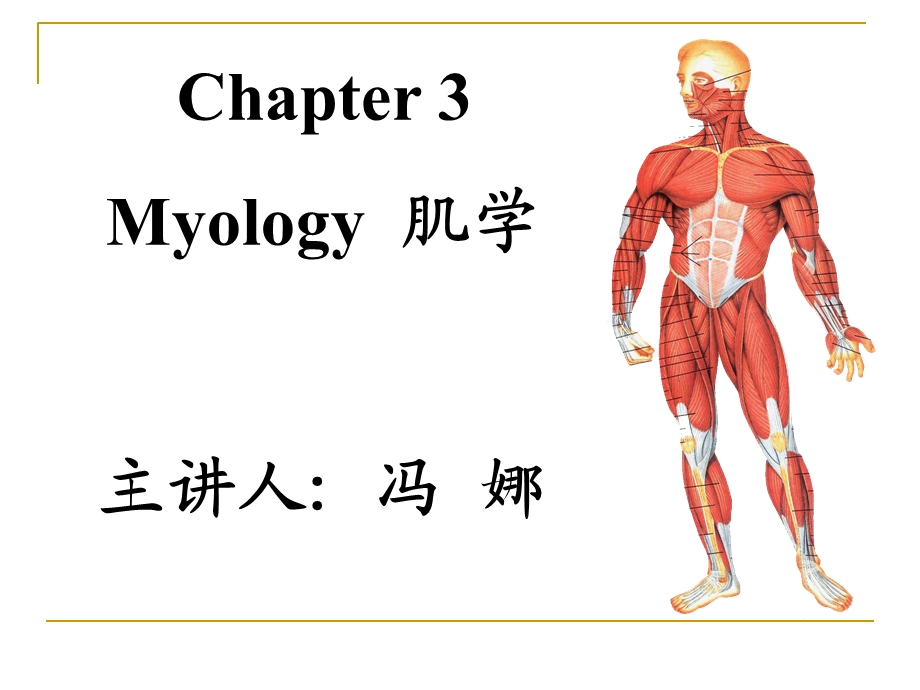 《系统解剖学》教学资料myology肌学.ppt_第1页