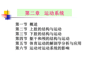 运动系统概述.ppt