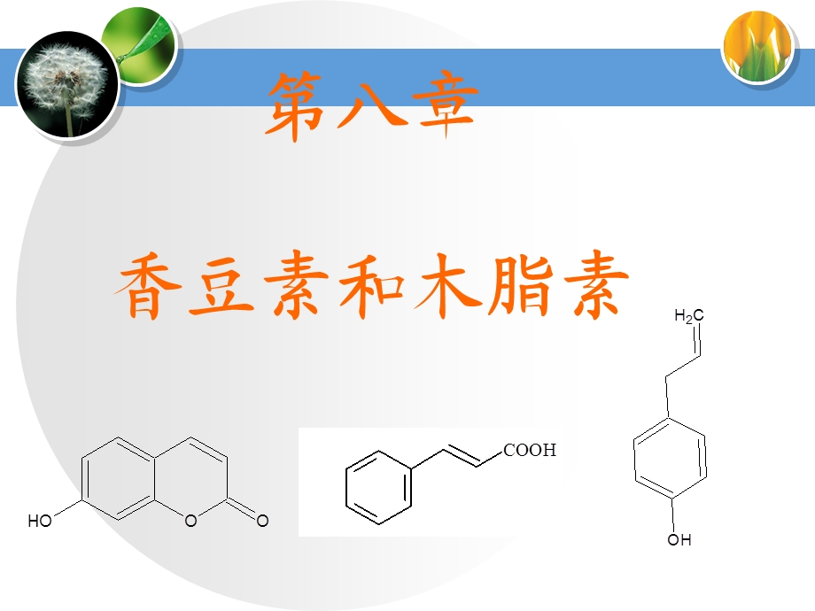 香豆素与木脂素.ppt_第1页