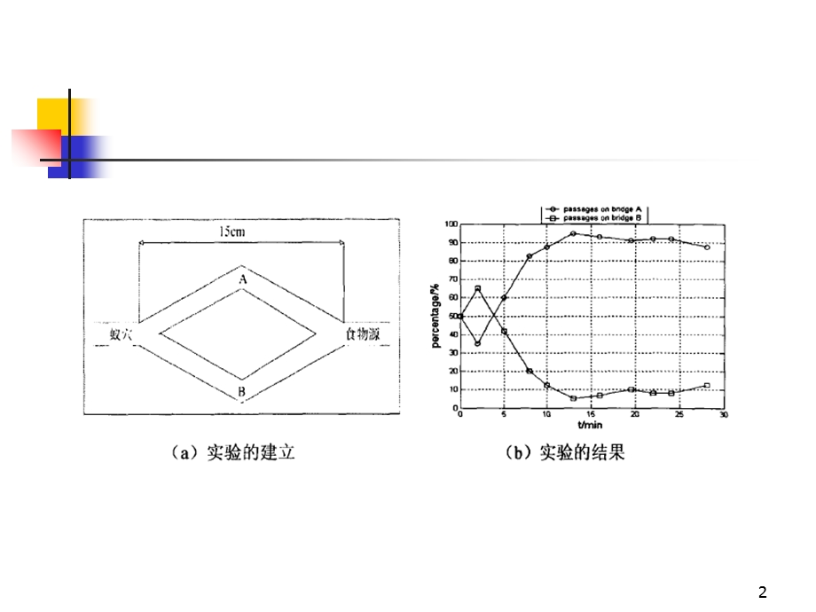 蚁群算法详细讲解.ppt_第2页