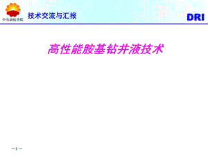 中石油钻石院高性能胺基钻井液技术.ppt