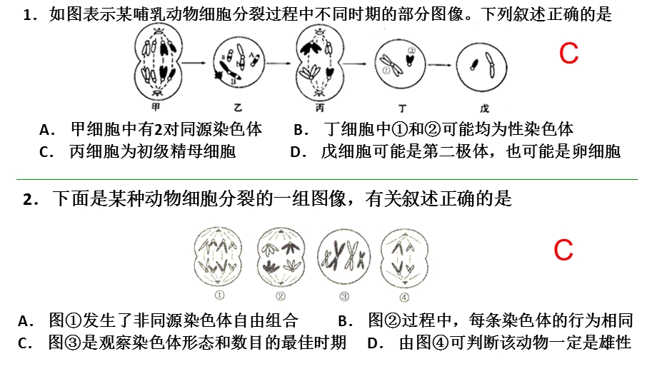 遗传的基本规律、伴性遗传经典习题.ppt_第2页