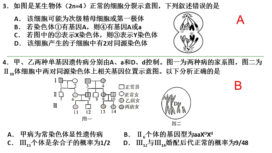 遗传的基本规律、伴性遗传经典习题.ppt_第3页