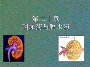 西医药理学第二十章利尿药和脱水药.ppt