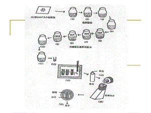 负染技术、扫描电镜样品制备技术.ppt