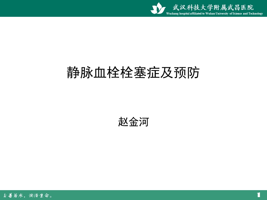 静脉血栓栓塞症及预防.ppt_第1页