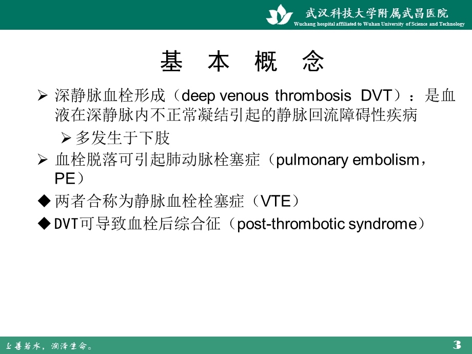 静脉血栓栓塞症及预防.ppt_第3页