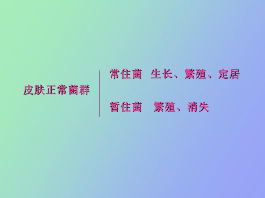 菌群与皮肤病.ppt_第2页